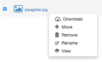 Right-clicking a file as a collaborator with Manage permissions - context menu
