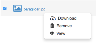 Right-clicking a file as a collaborator - context menu