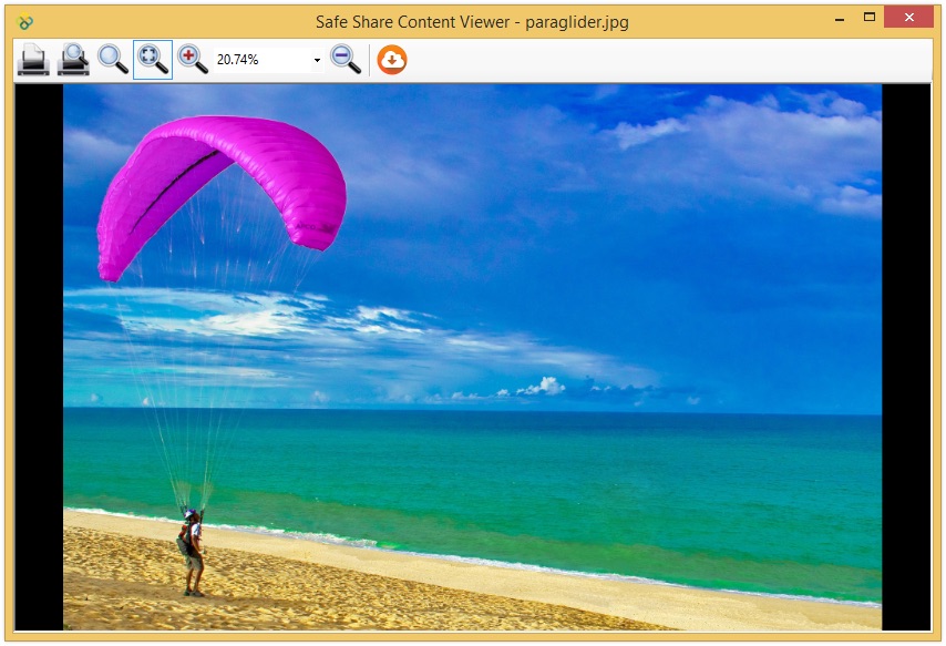 Safe Share for Windows' content viewer for image files