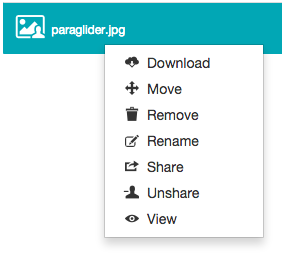 Right-clicking a shared file as an owner - context menu