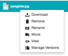 Right-clicking a file as a collaborator with Modify permissions - context menu
