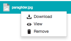 Right-clicking a file as a collaborator with restrictive permissions - context menu
