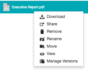 Right-clicking a file as an owner - context menu