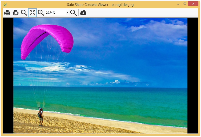 Safe Share for Windows' content viewer for image files