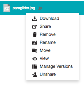 Right-clicking a shared file as an owner - context menu