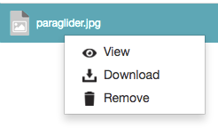 Right-clicking a file as a collaborator with restrictive permissions - context menu