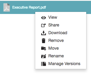 Right-clicking a file as an owner - context menu