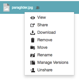 Right-clicking a shared file as an owner - context menu
