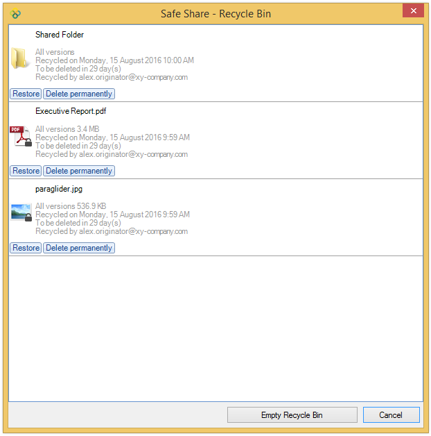Recycle Bin dialog box