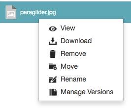 Right-clicking a file as a collaborator with Manage permissions - context menu